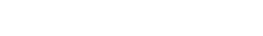 Steve Madden Logo